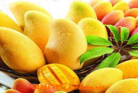 �и����Գ�â���� �и���â���ĺô��ͻ���