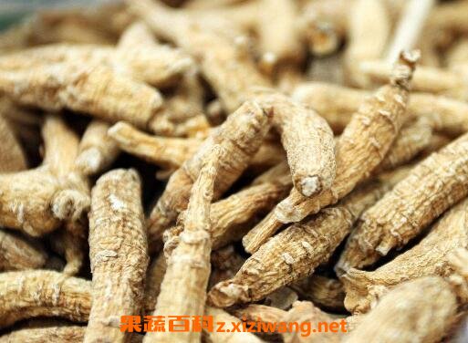 ���������Щ��Ч������