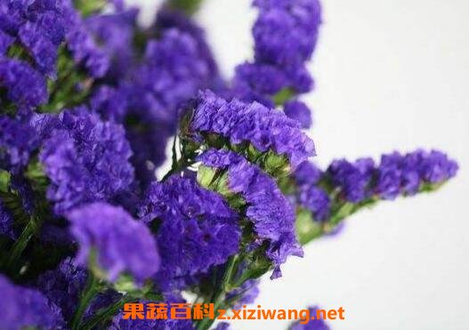 �����ҵĹ�Ч�����