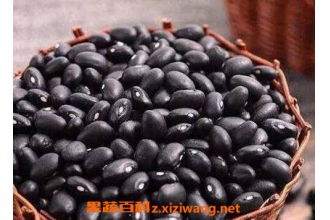 �����Ժڶ����� ���ݺڶ��ܲ�����