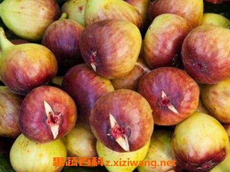 ���޻����Ĺ�Ч�����