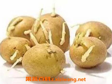 ������ѿ�˻��ܳ��� ���˷�ѿ������ô�ⶾ