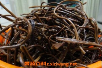 ާ�˸��ж��� ާ�˸���ô���ó�