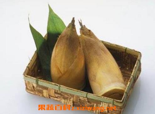 ����ʹ�������� ������ֶ����봺��