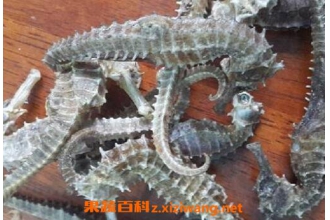 ��������ʲô��Ч������