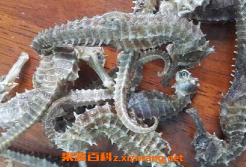 ��������ʲô��Ч������