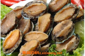 ���鱫��Ĺ�Ч������