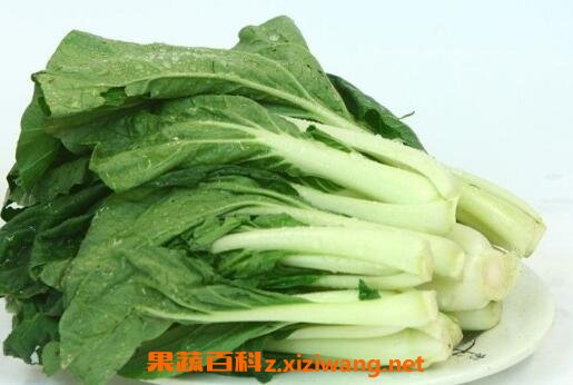 油菜和小白菜的营养价值