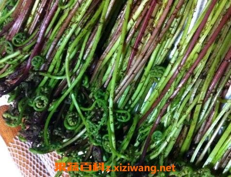 ɽާ�˵Ĺ�Ч������
