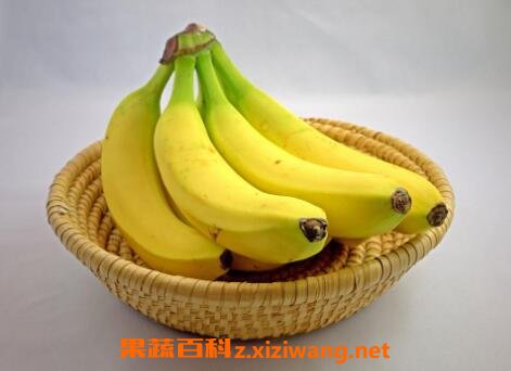 ���㽶�Ĺ�Ч������