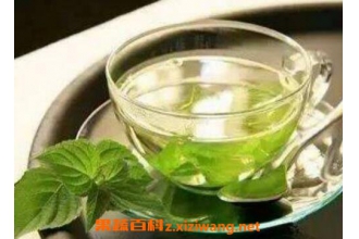 ޽��Ҷ��ˮ�Ĺ�Ч��ô�