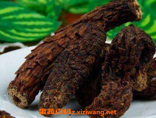 Ů�˳������صĺô�