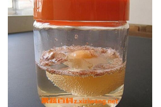 �׵�Һ�Ĺ�Ч������ ���ȴ׵�Һ��ʲô�ô�