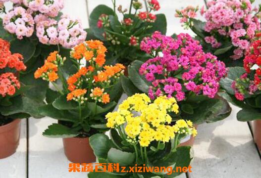 ���ٻ��ʺ����������� ���ٻ���ô��