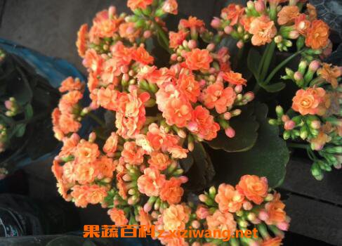 ���ٻ��ʺ����������� ���ٻ���ô��