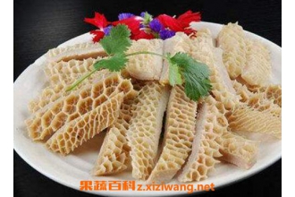 ţ�ǵ�Ӫ����ֵ�빦Ч