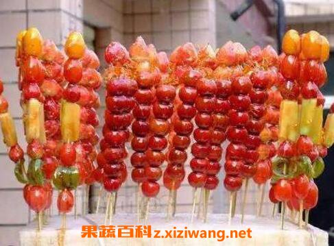 冰糖葫芦怎么做 冰糖葫芦的制作方法
