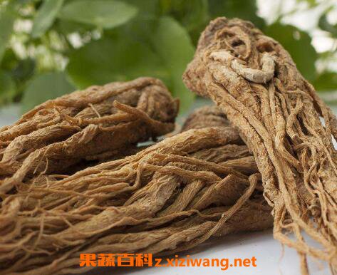 ����Ĺ�Ч�����ü�ҩ�ü�ֵ