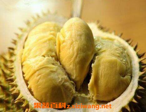 �����Ĺ�Ч������ �����ĳԷ�