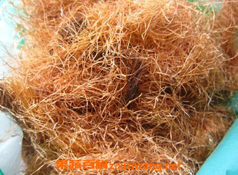 ������Ĺ�Ч�����ü�ҩ�ü�ֵ