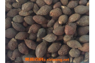 �ִ󺣵Ĺ�Ч�����ü������÷�