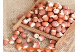 ��ʵ�������빦Ч ��ʵ�ĳԷ�