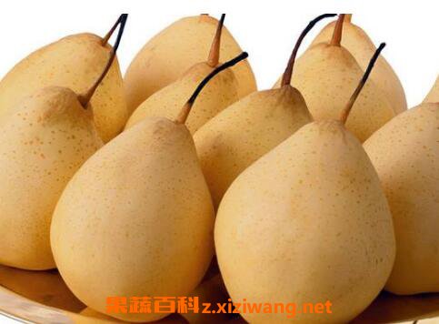 ѩ��Ĺ�Ч������ ��ѩ��ĺô�