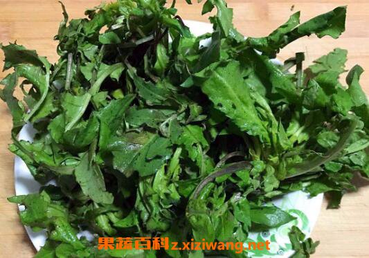 ׳��Ұ������Щ ʲôҰ�˲���׳��