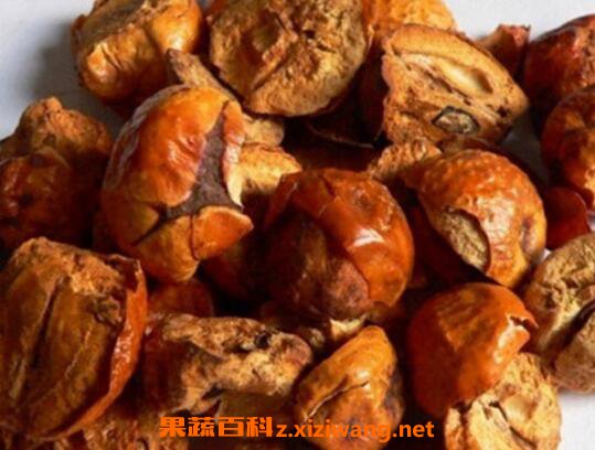 ����ӵĹ�Ч������ ����ӵ�ҩ�ü�ֵ