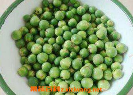���ӹ��Ĺ�Ч������ ���ӹ���ʳ�÷���