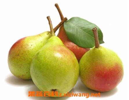 ����Ĺ�Ч������ ������ĺô�