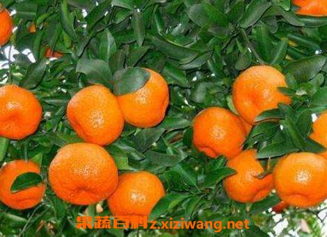 �ո̳����ϻ��� �ո̵Ĺ�Ч������