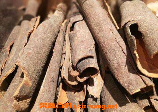 ����ù�Ƥ�ݾ� ��Ƥ�ݾƵķ���