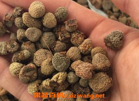 �ɵĸ��������ݾ��� �ɸ������ݾƵķ���