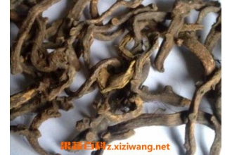���鲹�Ĺ�Ч������ ���ʹ��鲹��ô��