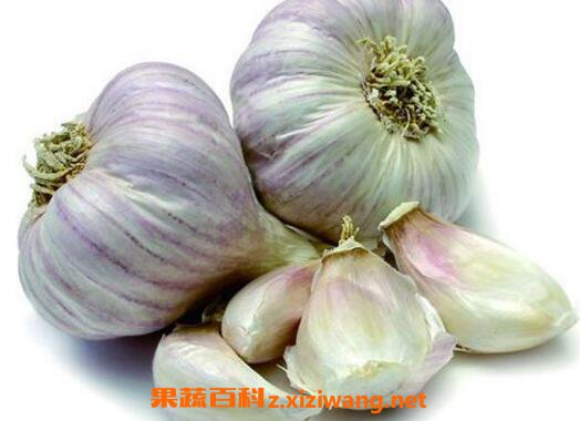 �Դ���ĺô�����Щ �Դ���Ļ���