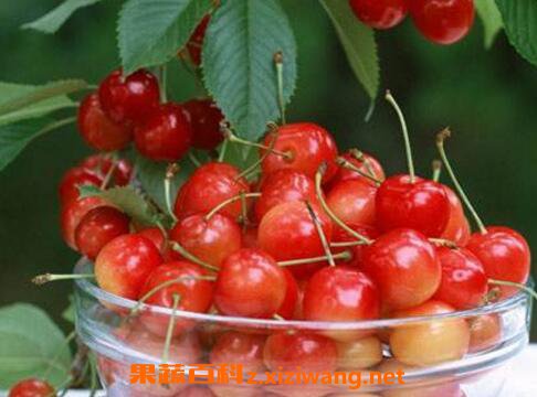 ��ӣ�ҵĺô�����Щ ��ӣ�ҵĻ���