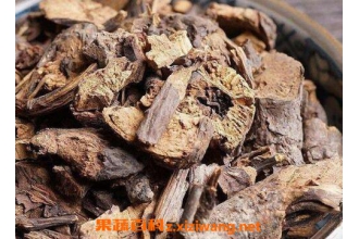 ���ܸ��Ĺ�Ч�����ü�ҩ�ü�ֵ