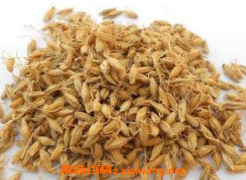 ����ѿ�Ĺ�Ч������