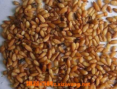 �����ʵĹ�Ч�����ü�ʳ�÷���