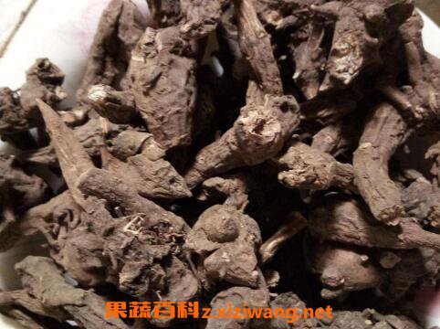 ���ڵĹ�Ч�����ü�ҩ�ü�ֵ