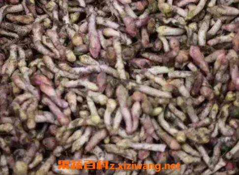 ����Ĺ�Ч�����ü�ע������