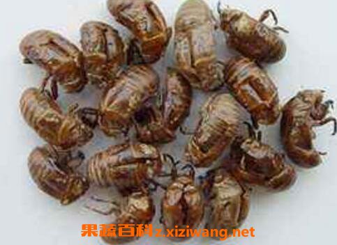 ���ɵĹ�Ч�����ü�����