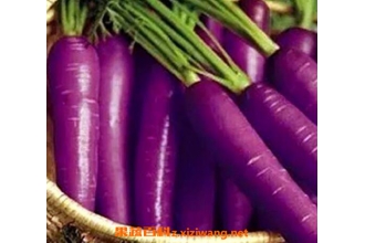 ��ɫ�Ĳ�����Щ ��ɫ�߲�ͼƬ�͹�Ч