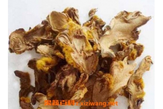 �����Ĺ�Ч�����ü�ҩ�ü�ֵ �ܷ�����ֹѪ