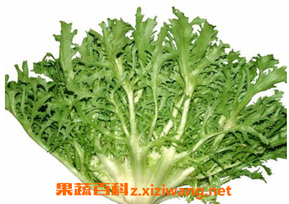 ���ĺͿ�յ�����
