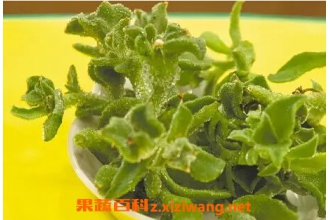 ������ô�� ���˵ĳԷ���ȫ
