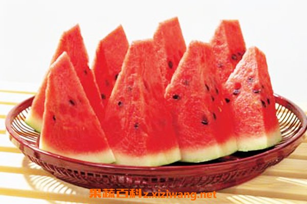 ѡ����