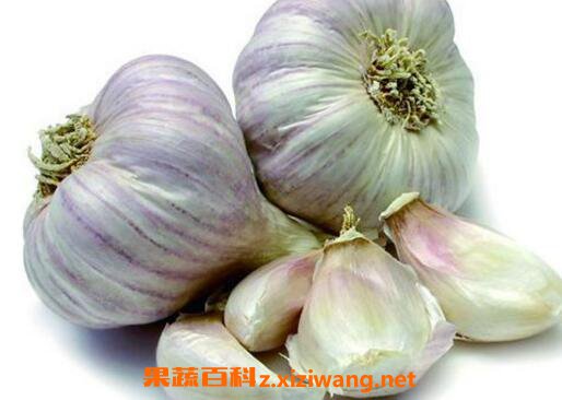 �Դ���ĺô��ͻ��� �Դ���Ľ���