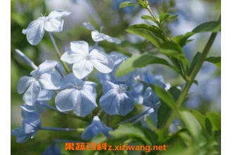 �Ӻ����Ĺ�Ч������ �Ӻ�����ô��